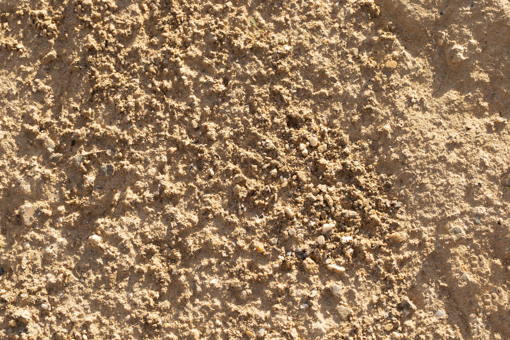 Building Sand – Soft, Versatile & High Quality