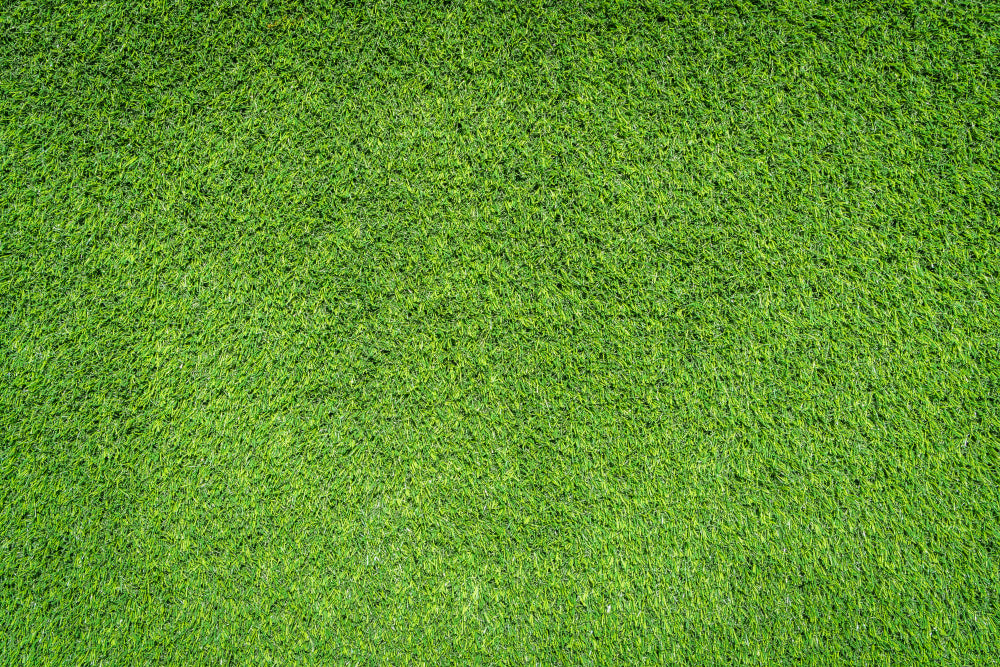 Pre-Seeding Lawn & Sportsfield Fertiliser