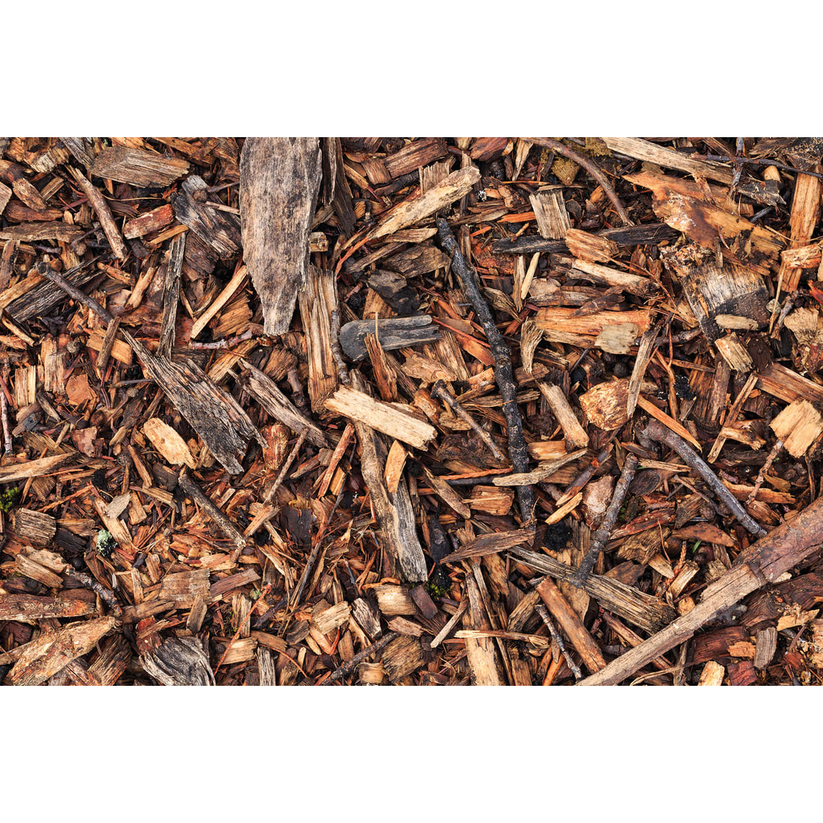 Landscaping Bark