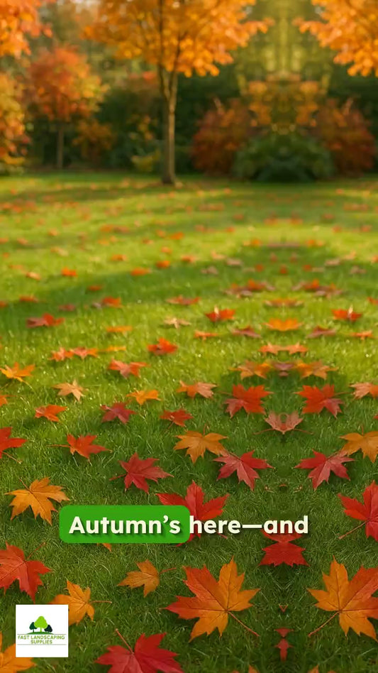 Autumn & Winter Lawn Fertiliser